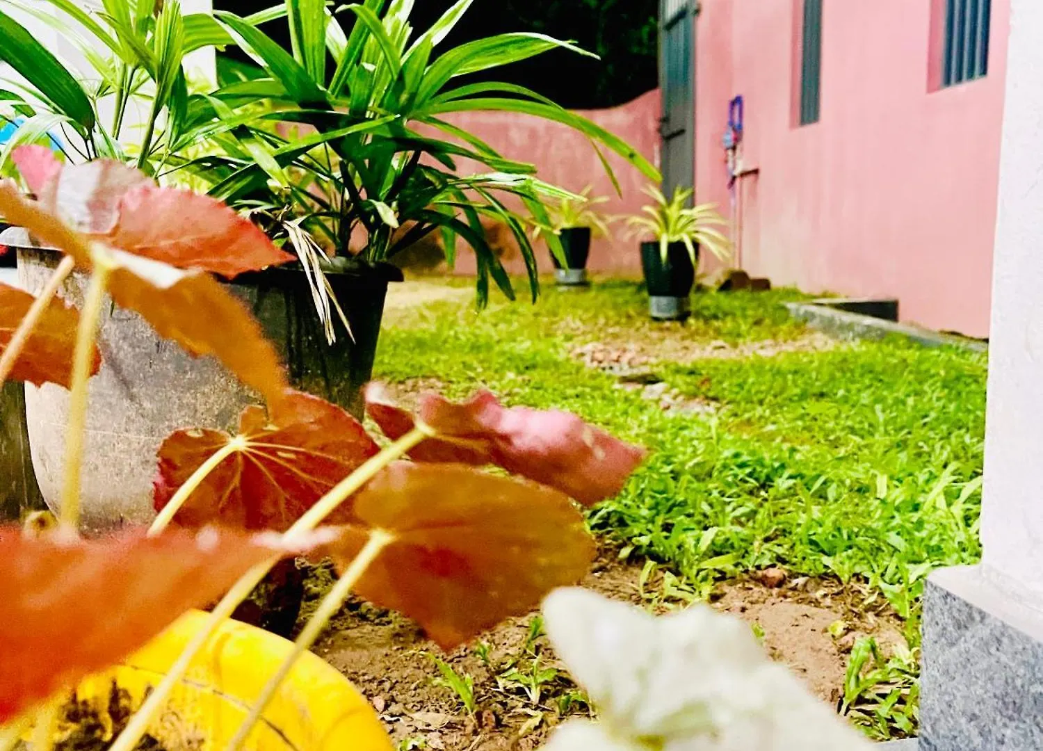 Sleepy Heaven Negombo Hotell Pensionat