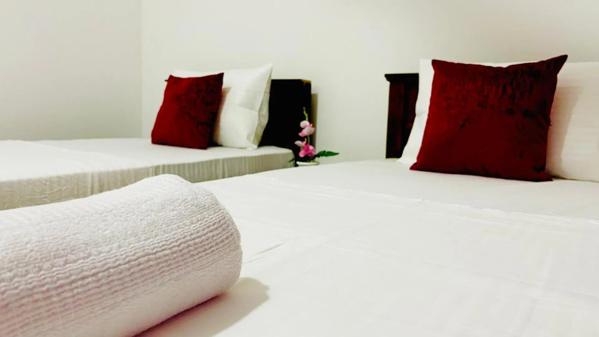 Sleepy Heaven Negombo Hotell Sri Lanka