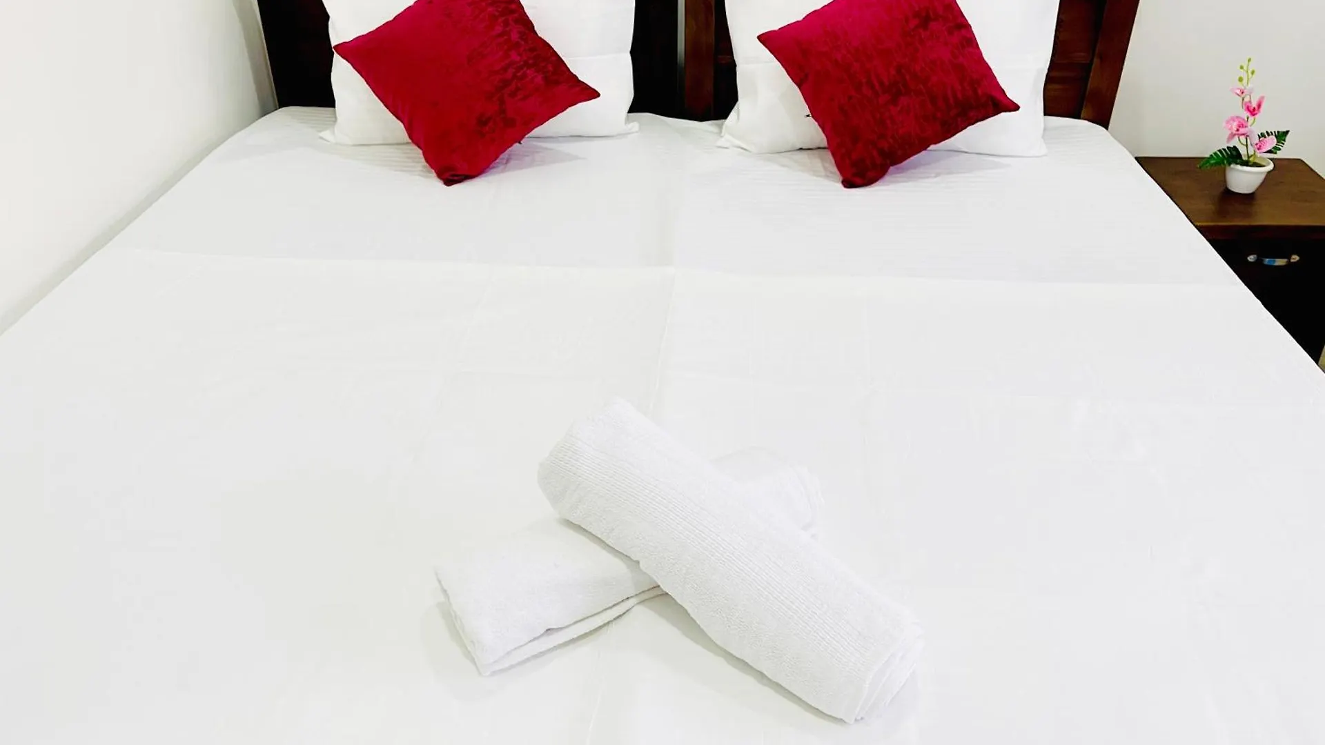 Sleepy Heaven Negombo Hotell Pensionat