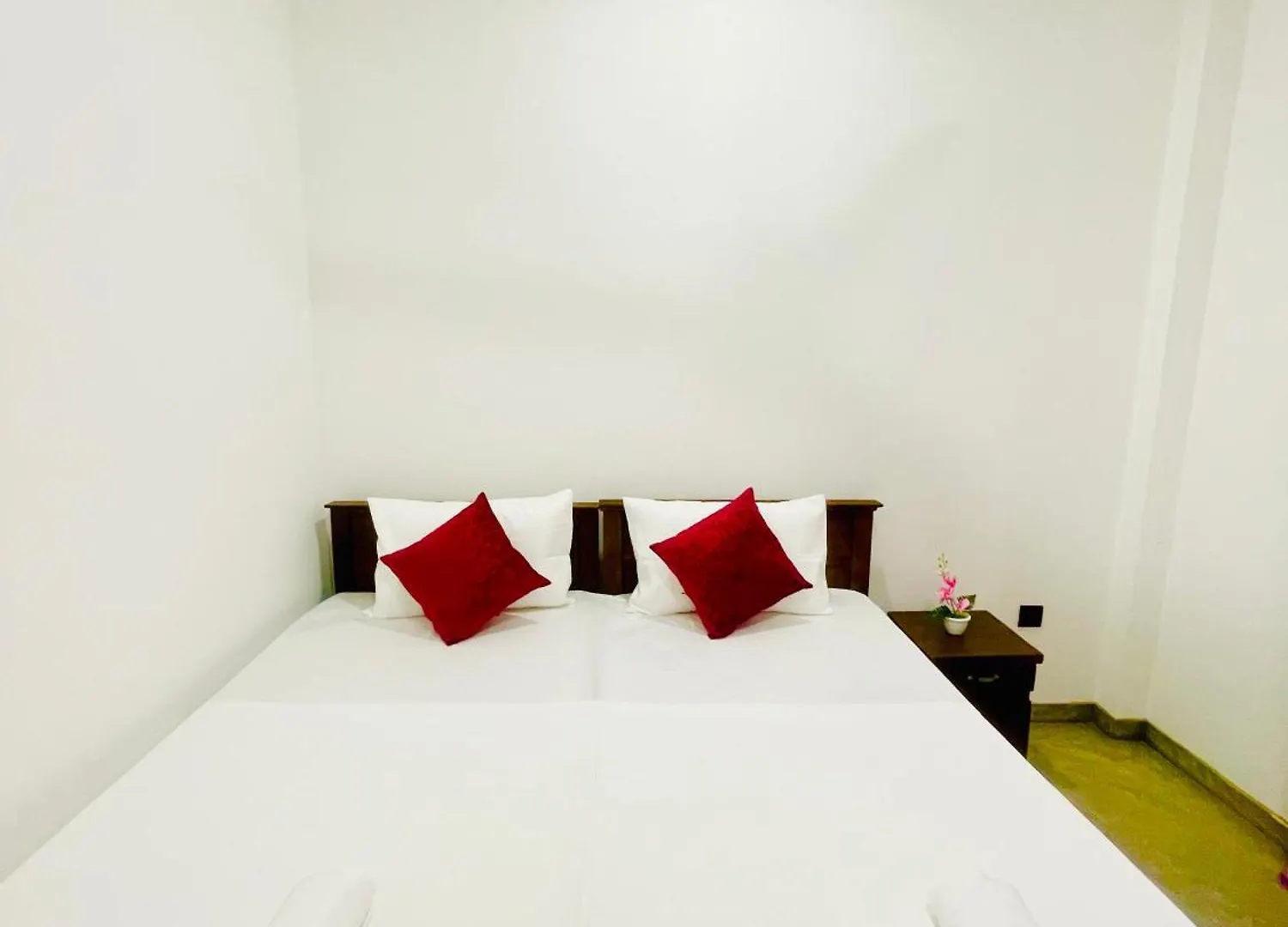 Sleepy Heaven Negombo Hotell Sri Lanka