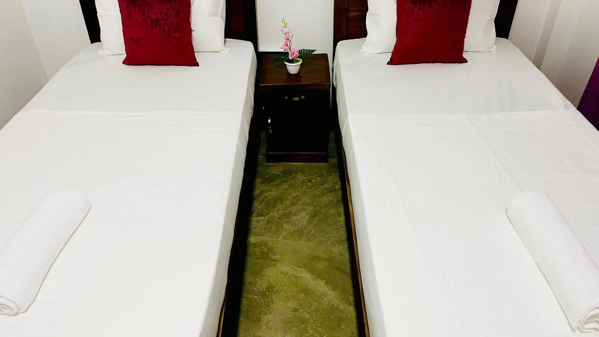 Pensionat Sleepy Heaven Negombo Hotell Sri Lanka