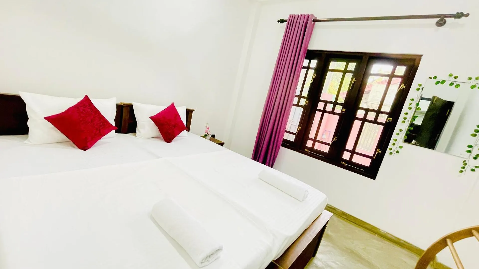 Pensionat Sleepy Heaven Negombo Hotell Sri Lanka